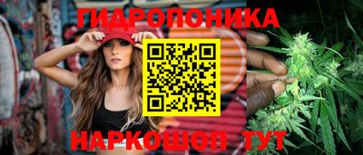 гидра Рязань