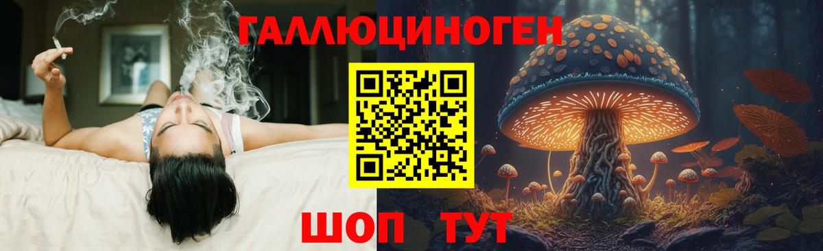 Галлюциногенные грибы MAGIC MUSHROOMS Сухой Лог